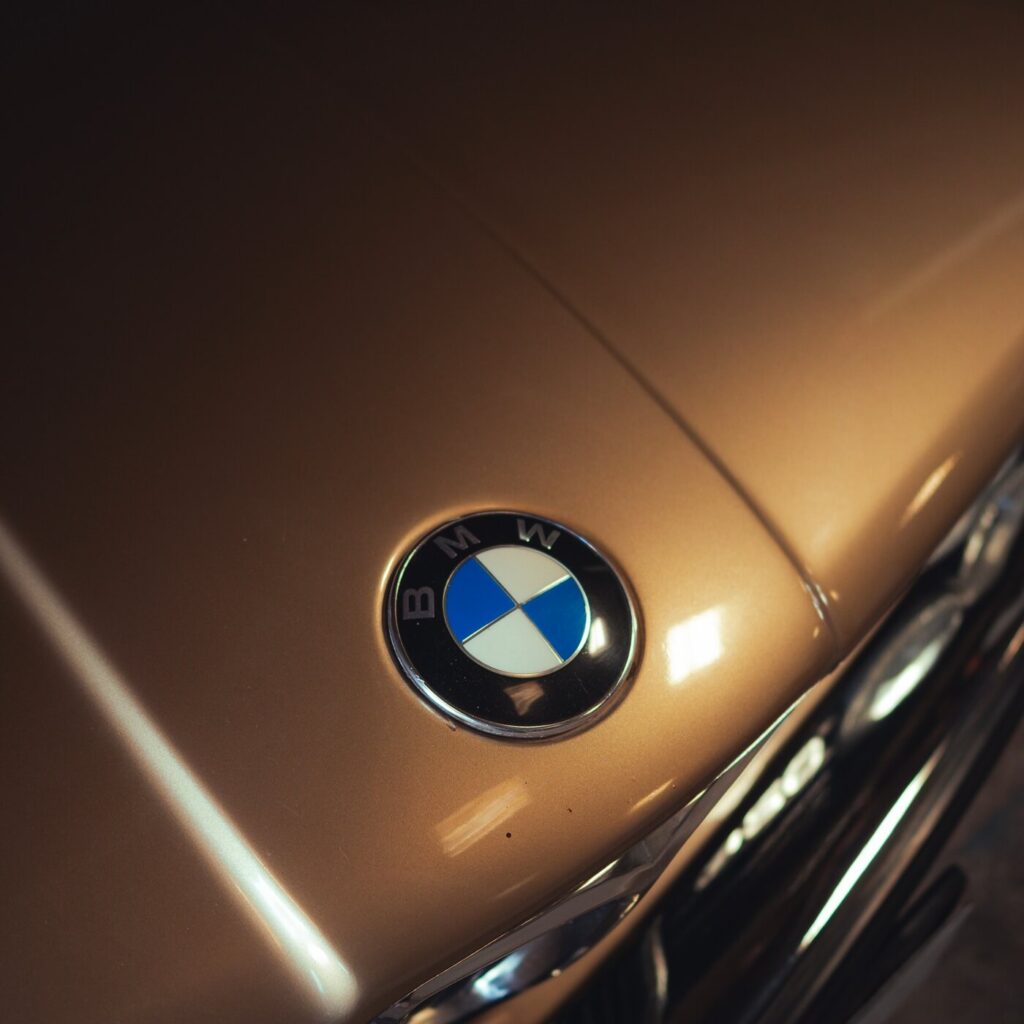 2-photo-BMW E21 ALPINA