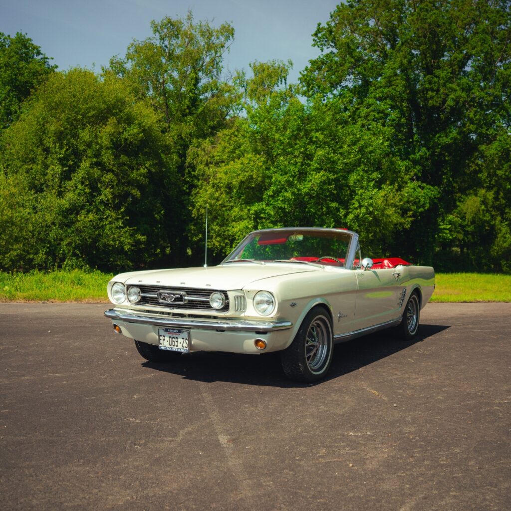Mustang 66